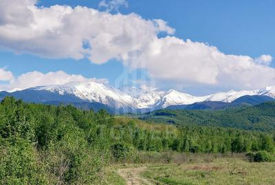 Teren de vânzare EXTRAVILAN | Porumbacu de Jos - 6