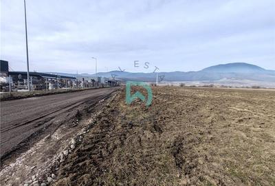 Teren intravila Industrial, 38800 mp, cu Autorizatie de Construire, Codlea Braso - 1