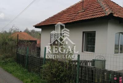 Casă de vânzare în Cerisor – liniște, natură și teren generos! - 7