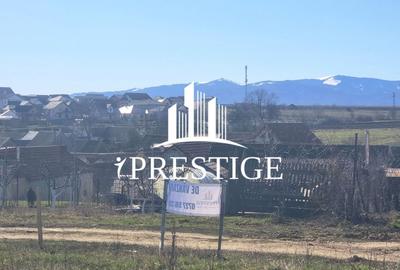 TEREN EXTRAVILAN 873 MP DE VÂNZARE ȘURA MICĂ | POTENȚIAL INTRAVILAN - 8