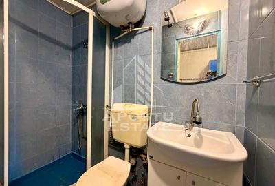Apartament cu 1 camera de inchiriat, zona Aradului, Timisoara - 5