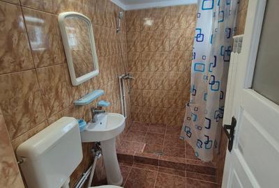 Lacul Tei inchiriere casa singur curte Gheorghe Titeica - 8