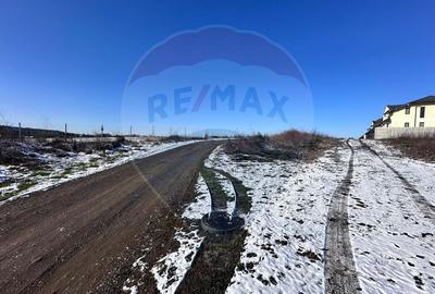 Teren intravilan 500mp, langa lac, acces drum principal - Corbeanca - 5