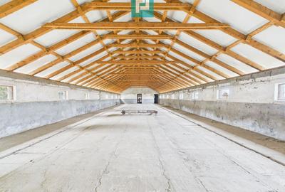 Spațiu industrial, în Variaș