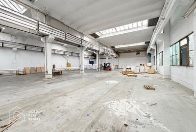 Spațiu industrial, 1187 mp în Sânnicolau Mic