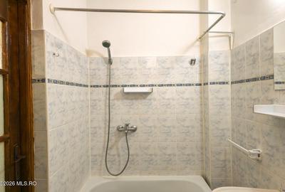 Lunei - Ion Neculce, 2 Apartamente. Mansarda 157 mp. Anexe, Lot 475 mp - 23