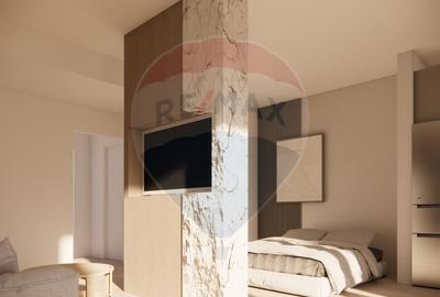 Vanzare  STUDIO-DEZVOLTATOR - 5
