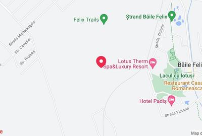 Teren baile felix - 1