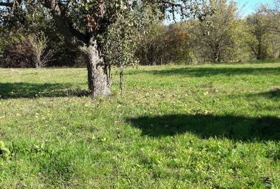 Teren intravilan în sat Făget, com. Drajna, Prahova - 8