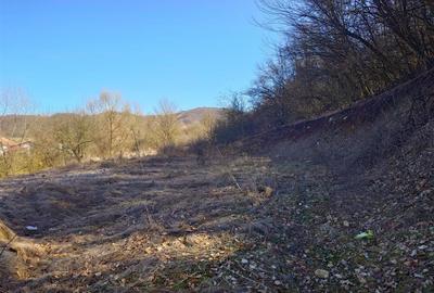 Teren intravilan la liziera padurii - 1