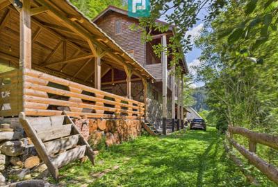 Cabană de vacanță în zona Arieșeni - 1