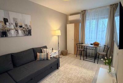 GARSONIERA  DECEBAL, BLOC REABLITAT, RENOVAT, MOBILAT/UTILAT MODERN - 1