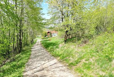 Teren intravilan Bran- Predelut - 6