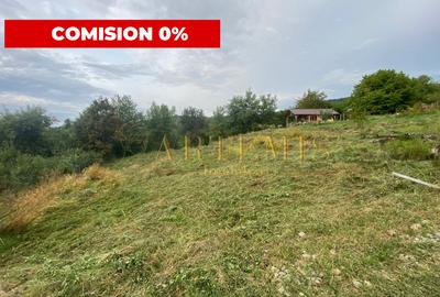 Teren Construcții intravilan de 1279 mp, în Sud