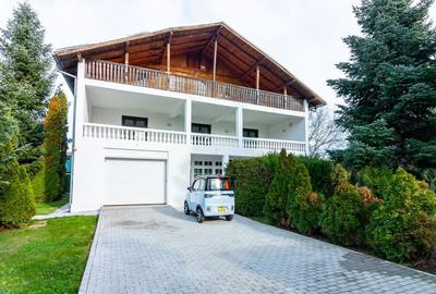 Vilă exclusivistă în Snagov - 15