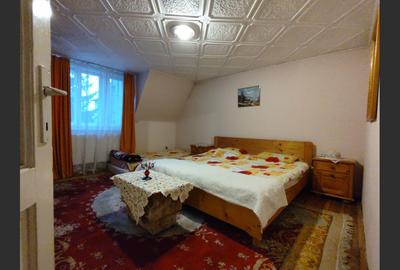 Casa cu mansarda, 7 camere, anexe, Sanmartin - 10