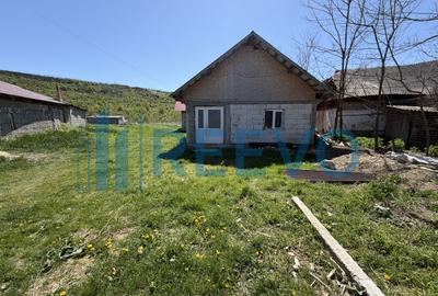 Casă Sat. Drăgești, Comuna Dămienști - 20