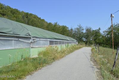 Bogati - Glimbocel, Ferma Zootehnica, Cladiri 1996 mp, Teren 4.89 ha - 2