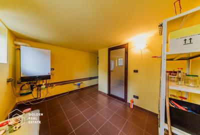 Vila de lux, D+P+E+M, Gradiste, la cheie, 300mp, 6 camere, teren 580mp - 28