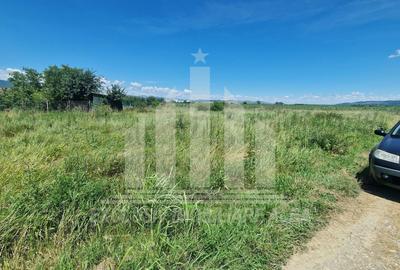 Teren intravilan | 480 mp | 20 ml deschidere | Partos - 3