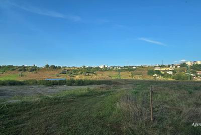 1 ha teren zona Curtesti - Bucovina - 3