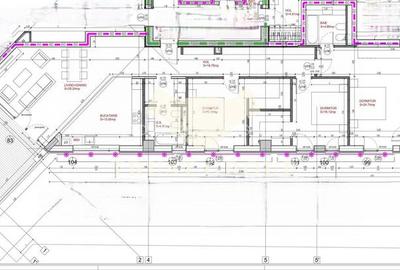 Apartament 4 camere Cismigiu | Terasa | 2 Locuri de parcare - 19