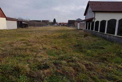 Imobiliare Maxim - teren intravilan in Cristian