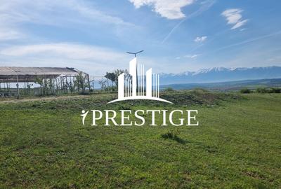 TEREN  EXTRAVILAN 2000 MP ÎN DAIA - BAVARIA | DEALUL 2 | DOAR 15€/MP - 29