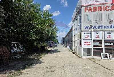 Hala si teren, depozitare, parcare-Spațiu industrial - 3