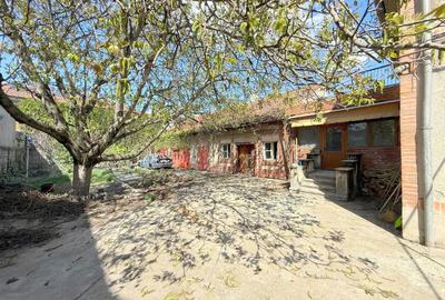 Casă individuală cu 7 camere în Elisabetin