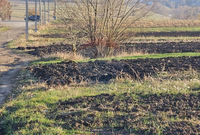 Teren extravilan 6,100mp Stroiesti / Soseaua DN17, Suceava - 4