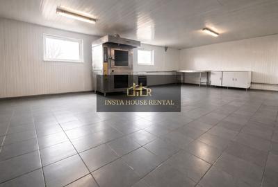 Spațiu comercial tip fabrică – Zona industrială Podul Dragaicii - 4