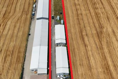 CIOLPANI, LOT 5.000 MP, HALE INDUSTRIALE! - 2