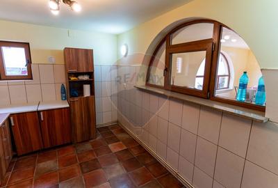 Vila  6 camere in Cristur, jud Hunedoara - 32