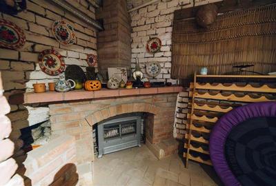 Vila in stil Art Nouveau (Targu Mures, str. Alexandru Papiu Ilarian) - 38