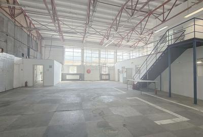 Hală industrială modernizată - Platforma Industrială Carfil - 10