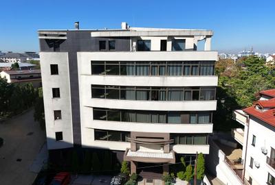 Birou, 155 mp în Victoriei