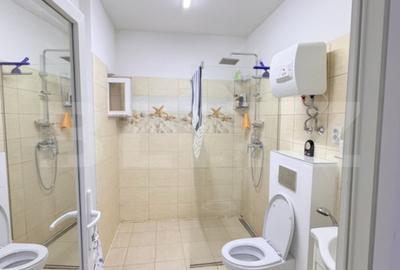 Casa individuala , 3 garaje , terasa ,  352mp utili, zona Dambu Rotund - 12