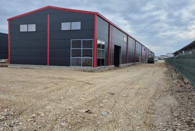 Hale de vânzare Afumați – zona Doraly | 560 mp/unitate | acces DN2, A0, Centură - 1