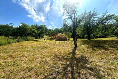 Teren 2037 mp, 17 ml deschidere, 28 euro/m2, vedere panoramica - 3