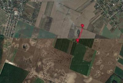 Teren agricol extravilan de 11700 mp, în Moara Vlăsiei