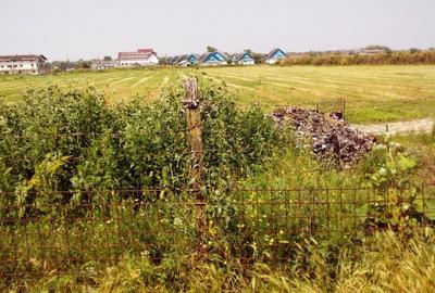 Teren de vanzare Murighiol - Uzlina | 5000 mp - 2