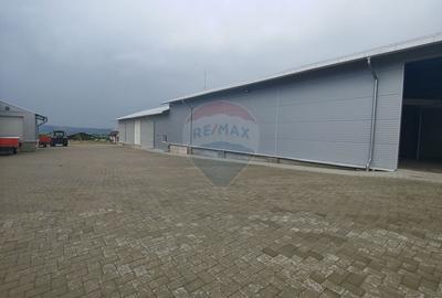Depozit refrigerare de 292mp Dumbrăveni, Suceava - 3