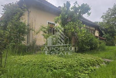 Proprietate cu potential turistic in Gurahont - 26