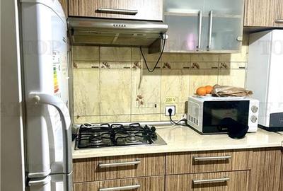 Vila de închiriat cu 7 camere ultracentral Piata Victoriei - 8