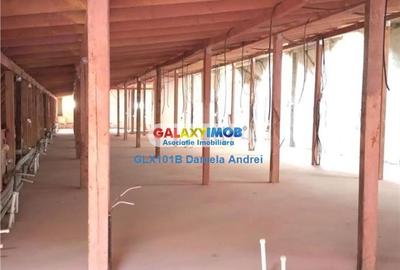 De vanzare VILA cu 26 camere + TEREN 450 mp ULTRACENTRAL 2800000 EURO - 36