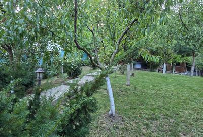 Moreni , Dambovita , vanzare proprietate -casa si teren - 29