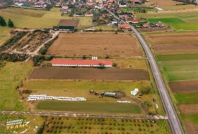 FILM! Ferma de iepuri,Malnas,Covasna: domeniu:comercial/industrial,asset UE - 23
