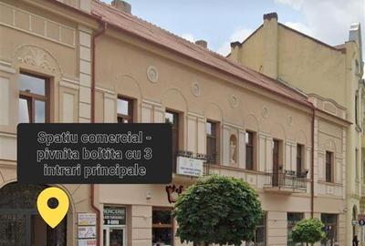 Spatiu comercial pivnita boltita cu 3 intrari Bulevardul Revolutiei, Arad! - 1