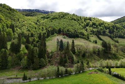 Extravilan + Intravilan | Sătic-Rucăr | Cadru natural | Turistic - 7
